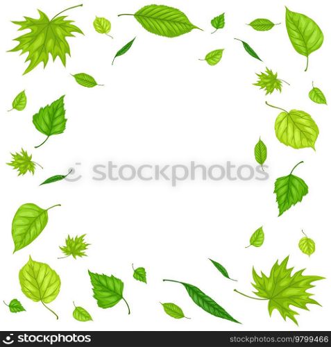 Frame with spring leaves. Beautiful decorative natural foliage.. Frame with spring leaves. Beautiful decorative foliage.