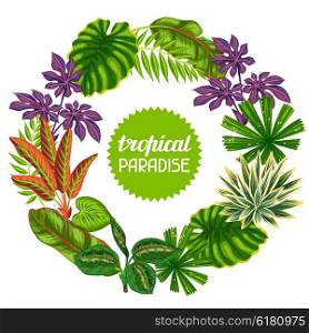 Frame with tropical plants and leaves. Image for advertising booklets, banners, flayers.