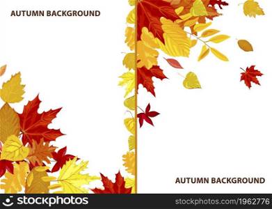 Frames and backgrounds with leaves, autumn themed decorative empty banners or posters with copyscape. Sale or clearance, fall season promo marketing flyer with ornaments. Vector in flat style. Autumn background, fall season frame with leaf