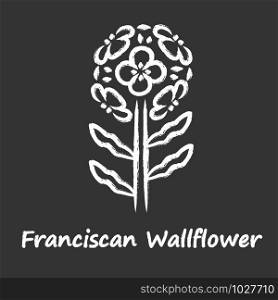 Franciscan wallflower chalk icon. Garden flowering plant with name inscription. Erysimum franciscanum inflorescence. Blooming wildflower, weed. Spring blossom. Isolated vector chalkboard illustration