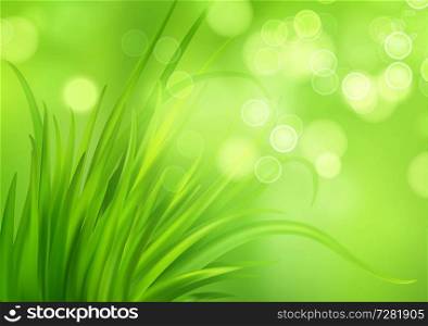 Frash Spring green grass background. Vector illustration EPS10. Frash Spring green grass background. Vector illustration