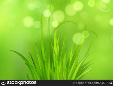 Frash Spring green grass background. Vector illustration EPS10. Frash Spring green grass background. Vector illustration