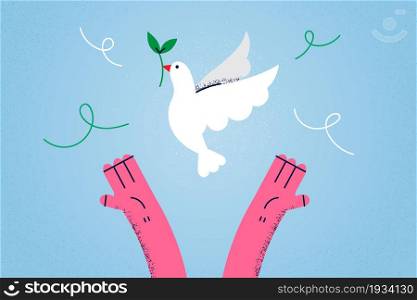 Freedom and good news concept. Human hands releasing white dove pigeon with green leaves plant in beak over blue air background vector illustration . Freedom and good news concept