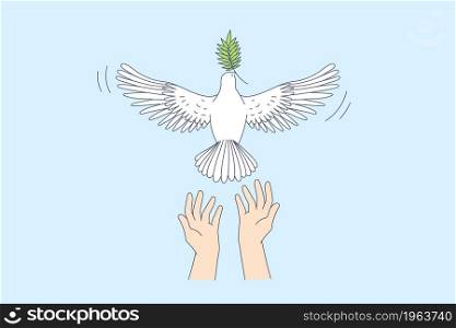Freedom and releasing good news concept. Human hands letting white pigeon with green leaf in beak go over blue sky background vector illustration . Freedom and releasing good news concept.