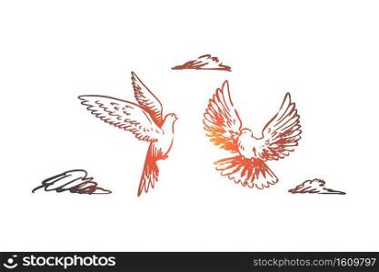 Freedom, peace, couple, flight, birds concept. Hand drawn two birds flying in the sky concept sketch. Isolated vector illustration.. Freedom, peace, couple, flight, birds concept. Hand drawn isolated vector.