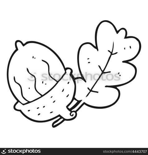 freehand drawn black and white cartoon acorn