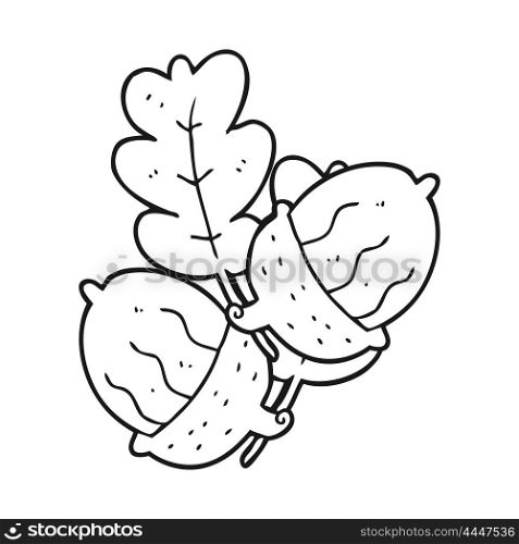 freehand drawn black and white cartoon acorns