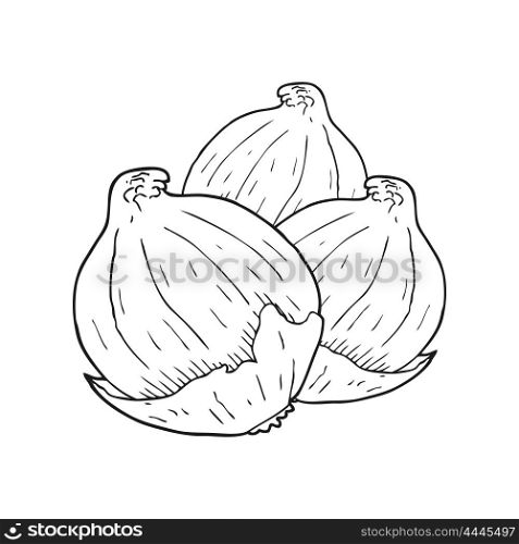 freehand drawn black and white cartoon onions