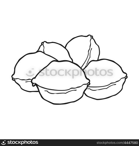 freehand drawn black and white cartoon walnuts in shell