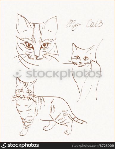 freehand scetchs of domestic cats
