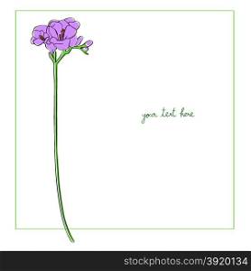 Freesia card illustration, one element composition with simple frame over white
