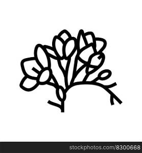 freesia flower spring line icon vector. freesia flower spring sign. isolated contour symbol black illustration. freesia flower spring line icon vector illustration