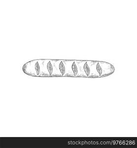 French baguette isolated oblong shape bun sketch. Vector bakery product, wheat bread, pastry food. Baguette, wheat bread, pastry food isolated sketch