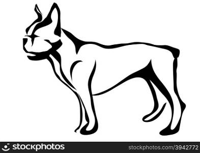 french bulldog. abstract silhouette isolated on white