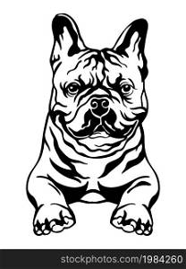 French bulldog black contour portrait. Dog head in front view vector illustration isolated on white. For decoration, design, print, posters, postcards, stickers, t-shirt, cricut, tattoo and embroidery. French bulldog vector black contour portrait vector