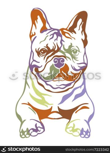 French bulldog color contour portrait. Dog head in front view vector illustration isolated on white. For decoration, design, print, posters, postcards, stickers, t-shirt, cricut, tattoo and embroidery. French bulldog vector color contour portrait vector
