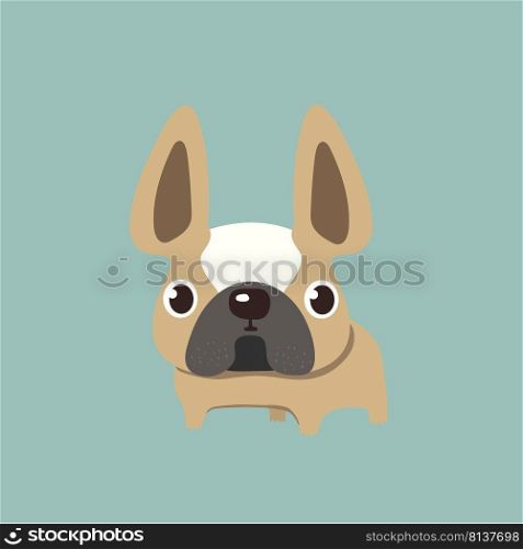 french bulldog design, pet and animal concept. . french bulldog design,