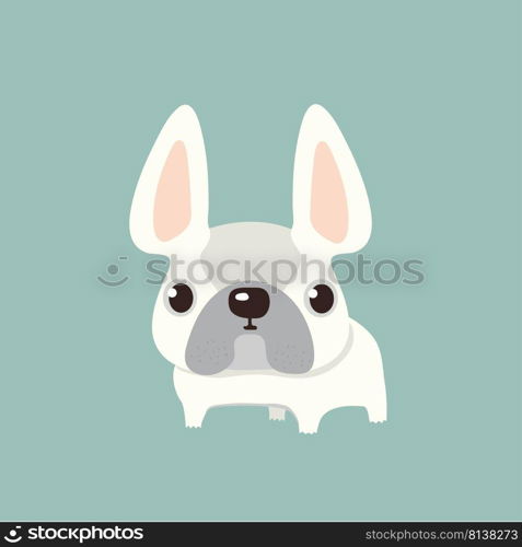 french bulldog design, pet and animal concept. . french bulldog design,