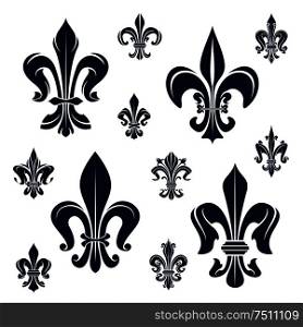 French royal fleur-de-lis dark blue heraldic symbols with ornamental compositions of victorian leaf scrolls and curly tendrils. Heraldry, history, coat of arms, design . French fleur-de-lis heraldic symbols and flowers