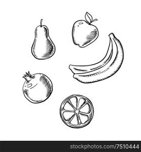 Fresh and juicy apple, pear, slice of lemon, bunch of banana and pomegranate fruits. Sketch icons for healthy food or agriculture design