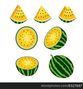 Fresh and juicy whole watermelons and slices.Set of ripe yellow watermelon berries. Vector illustration.