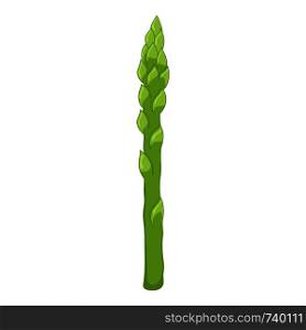 Fresh asparagus isolated on white background. Organic food. Cartoon style. Vector illustration for design.