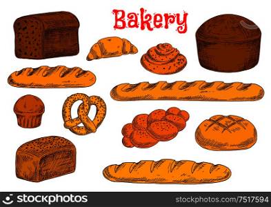 Fresh baked bread from rye, whole wheat and white flour sketch icons with french baguettes and long loaves, croissant, cinnamon rolls and cupcake, braided bun and pretzel, topped by poppy and sesame seeds. Fresh bread and buns icons for bakery shop design