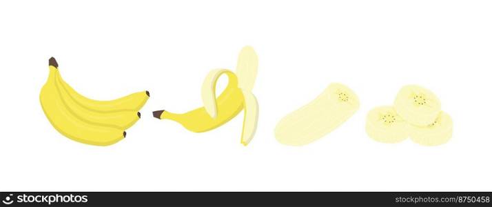 Fresh banana fruits, in different condition of vector illustrations