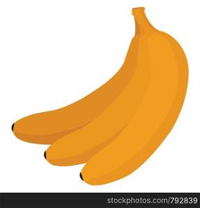 Fresh banana, illustration, vector on white background.
