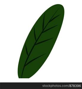 Fresh banana leaf icon. Cartoon of fresh banana leaf vector icon for web design isolated on white background. Fresh banana leaf icon, cartoon style