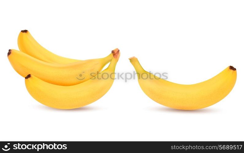 Fresh bananas isolated on white. Vector