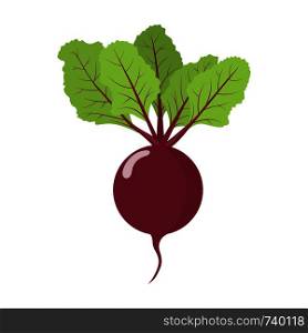 Fresh beet vegetable isolated on white background. Beet icon for market, recipe design. Organic food. Cartoon style. Clean and modern vector illustration for design.