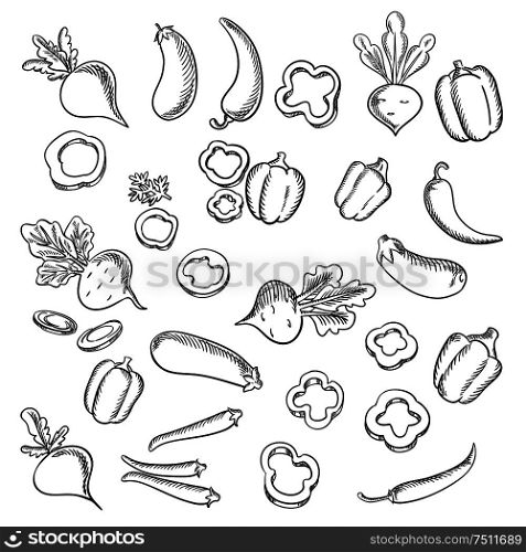Fresh beets with lush haulms, chili peppers and eggplants, sliced and whole bell peppers vegetables sketch icons. Beets, eggplants, chili and bell peppers