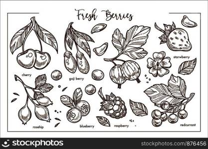 Fresh berry on branches with leaves and blossom monochrome set. Sweet cherry, exotic goji, ripe rosehip, tasty blueberry, healthy raspberry, sour red currant and big strawberry vector illustrations.. Fresh berry on branches with leaves and blossom monochrome collection