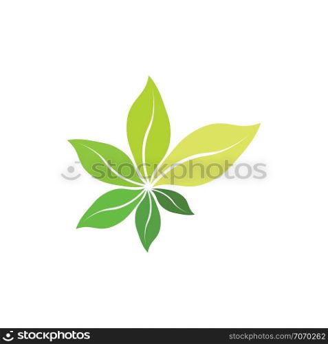 fresh bio green leaves organic herb symbol