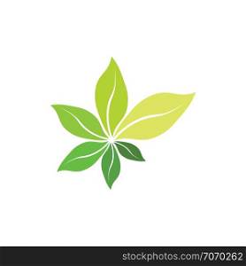 fresh bio green leaves organic herb symbol