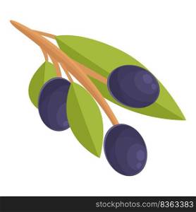 Fresh black olives icon cartoon vector. Olive food. Package condiment. Fresh black olives icon cartoon vector. Olive food