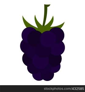 Fresh blackberry icon flat isolated on white background vector illustration. Fresh blackberry icon isolated