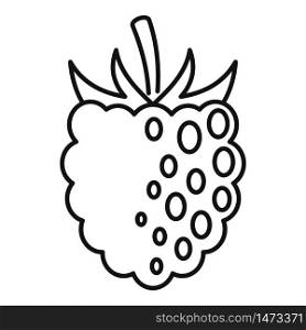 Fresh blackberry icon. Outline fresh blackberry vector icon for web design isolated on white background. Fresh blackberry icon, outline style