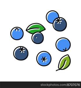 fresh blueberry berry color icon vector. fresh blueberry berry sign. isolated symbol illustration. fresh blueberry berry color icon vector illustration