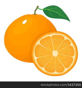 Fresh bright composition of exotic whole and cut slice tangerine or mandarin isolated on white background. Summer fruits for healthy lifestyle. Organic fruit. Vector illustration for any design. Fresh bright composition of exotic whole and cut slice tangerine or mandarin isolated on white background. Summer fruits for healthy lifestyle. Organic fruit. Vector illustration for any design.