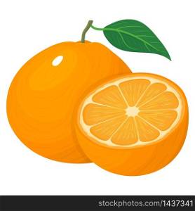 Fresh bright composition of exotic whole and half tangerine or mandarin isolated on white background. Summer fruits for healthy lifestyle. Organic fruit. Vector illustration for any design. Fresh bright composition of exotic whole and half tangerine or mandarin isolated on white background. Summer fruits for healthy lifestyle. Organic fruit. Vector illustration for any design.