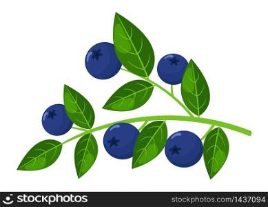 Fresh bright exotic blueberry branch isolated on white background. Summer fruits for healthy lifestyle. Organic fruit. Cartoon style. Vector illustration for any design. Fresh bright exotic blueberry branch isolated on white background. Summer fruits for healthy lifestyle. Organic fruit. Cartoon style. Vector illustration for any design.