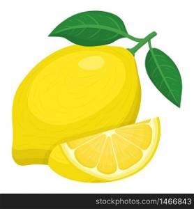 Fresh bright exotic whole and cut slice lemon fruit isolated on white background. Summer fruits for healthy lifestyle. Organic fruit. Cartoon style. Vector illustration for any design.