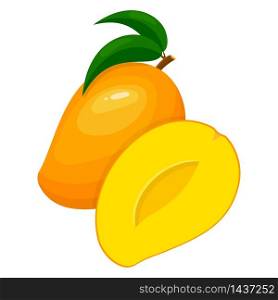 Fresh bright exotic whole and half mango isolated on white background. Summer fruits for healthy lifestyle. Organic fruit. Cartoon style. Vector illustration for any design. Fresh bright exotic whole and half mango isolated on white background. Summer fruits for healthy lifestyle. Organic fruit. Cartoon style. Vector illustration for any design.