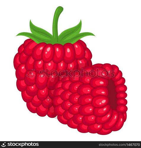 Fresh bright exotic whole raspberry group isolated on white background. Summer fruits for healthy lifestyle. Organic fruit. Cartoon style. Vector illustration for any design.