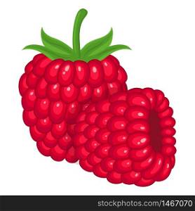 Fresh bright exotic whole raspberry group isolated on white background. Summer fruits for healthy lifestyle. Organic fruit. Cartoon style. Vector illustration for any design.