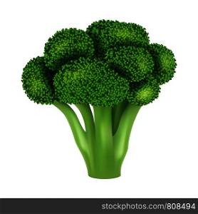 Fresh broccoli icon. Realistic illustration of fresh broccoli vector icon for web design. Fresh broccoli icon, realistic style