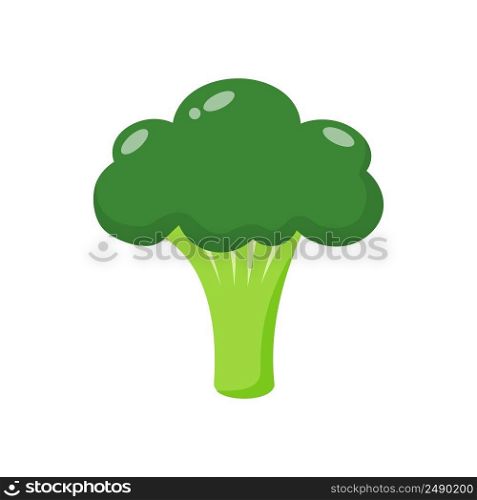 Fresh broccoli isolated on white background. Broccoli vegetable nature. Vector stock