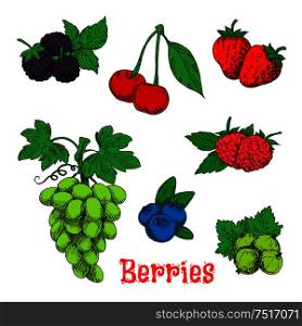 Fresh bunch of sweet and juicy green grape, red raspberries, strawberries and cherries, blackberries, gooseberries and blueberries fruits sketch symbols. Colorful appetizing berries with leaves design for agriculture harvest and organic farming concept. Colorful appetizing fruits and berries sketches